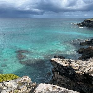 Meet your Posher, Sophia